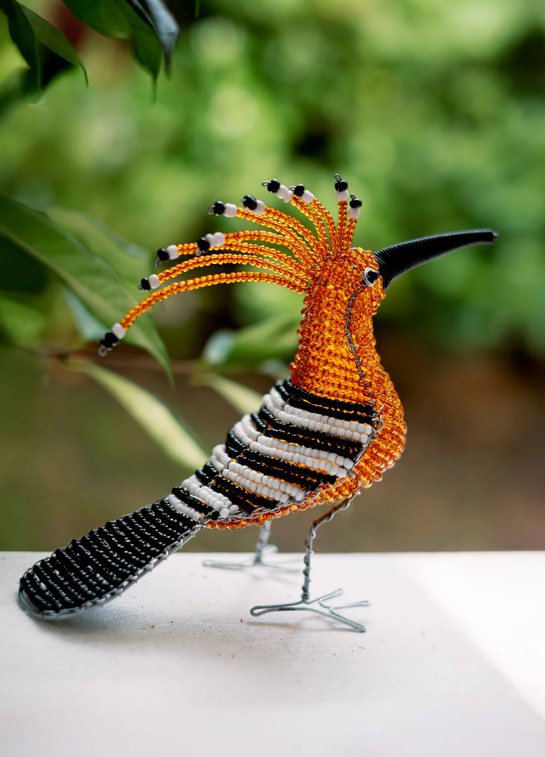 Beaded Hoopoe Bird